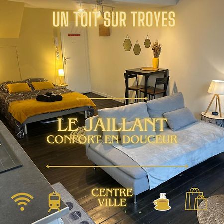 Le Jaillant - Wifi - Centre Ville Historique - Proche Gare Troyes Exterior foto